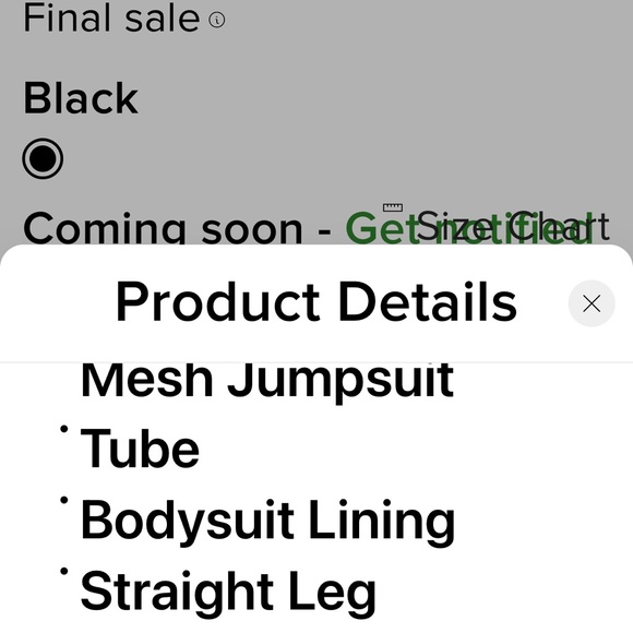 Brand new Fashion Nova mesh jumpsuitsize Large - Picture 4 of 4